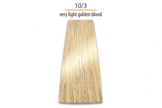 Prosalon Color Art Permanent Colour Cream Nr. 10/3, 100g